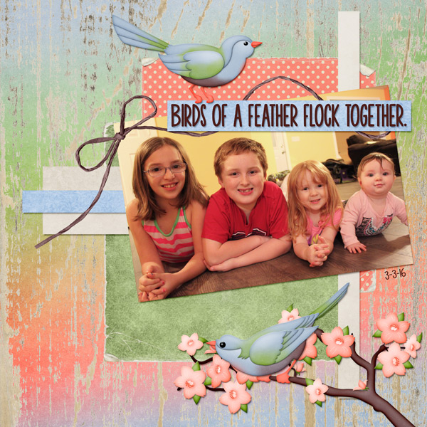 3-3-16birdsfeather