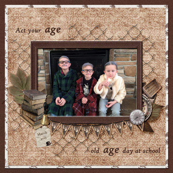 3-Case_old_age_2015_small