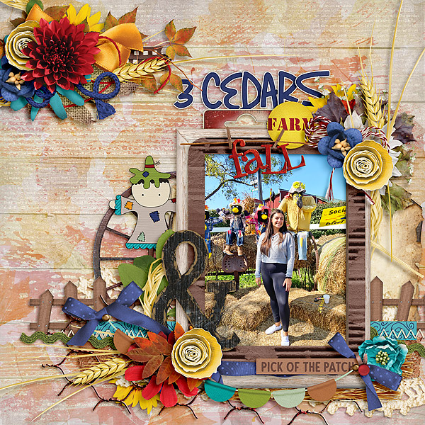 3 Cedars Farm Fall