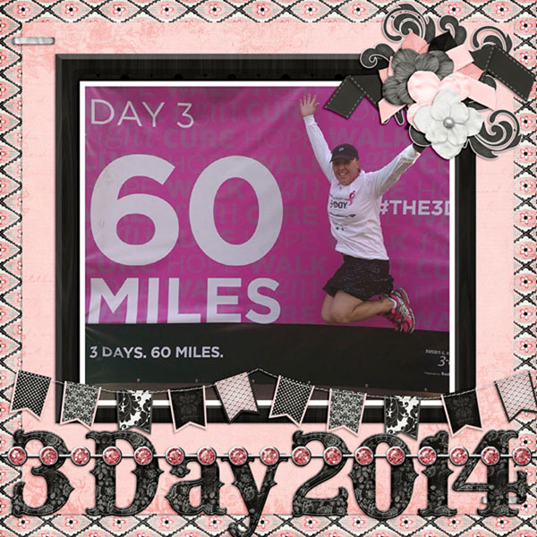 3 Day 2014 l