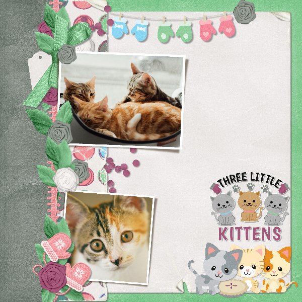 3 little kittens