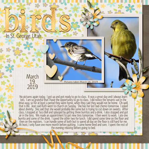 3-March_19_2019_small
