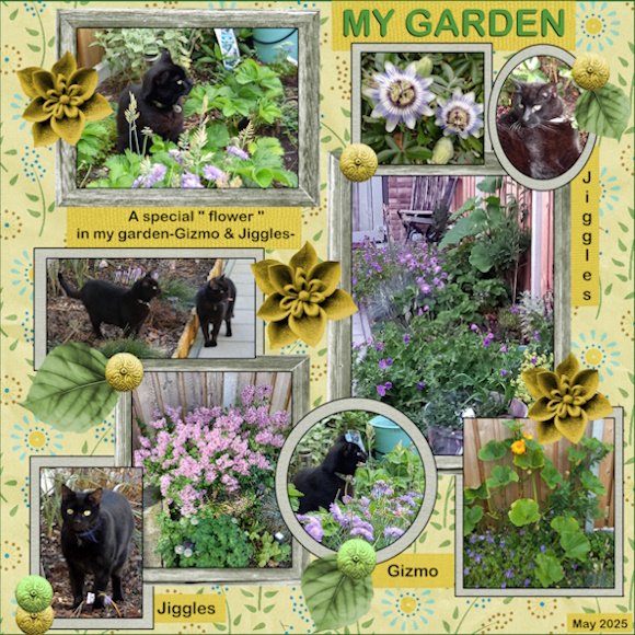 -3 - May 2025 -Bucket List challenge-My garden.jpg