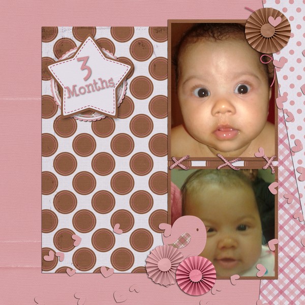 3 Months