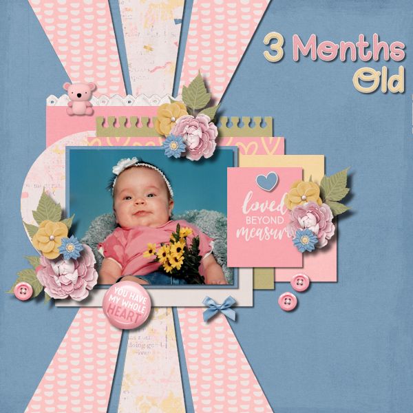 3 Months