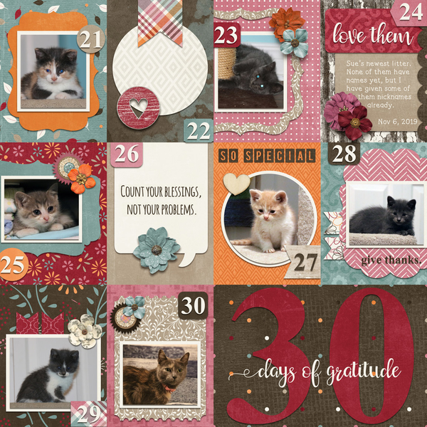 30 Days Of Gratitude