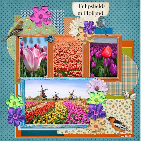 32 - April Template Challenge -2 -Tulipsfield in Holland.jpg