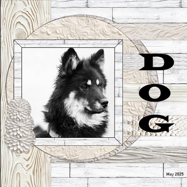 32e-May 2025 Wild About Styles challenge - DOG.jpg
