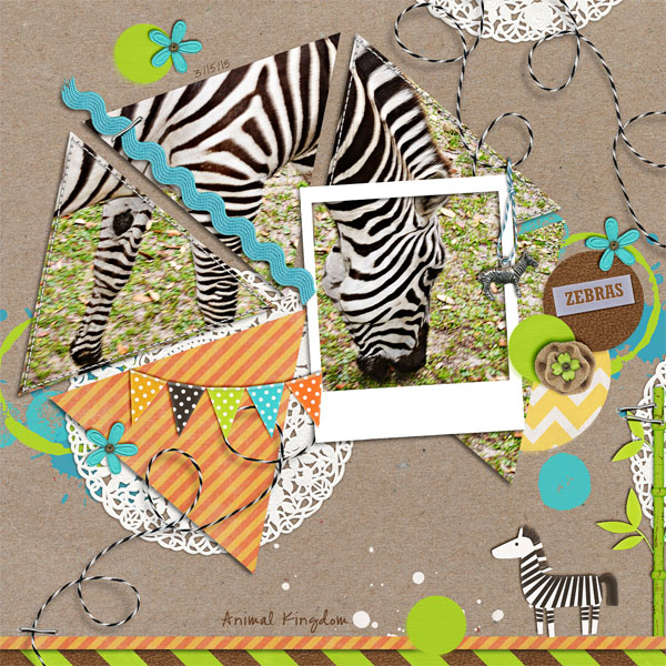 3_15_15_Animal_Kingdom_Zebra