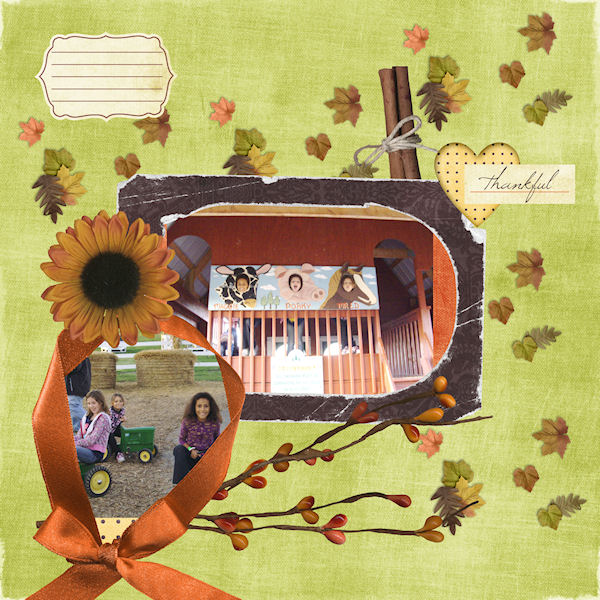 3_cedar_farms