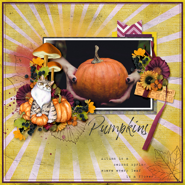 3_MFish_AutumnDreams_02_600