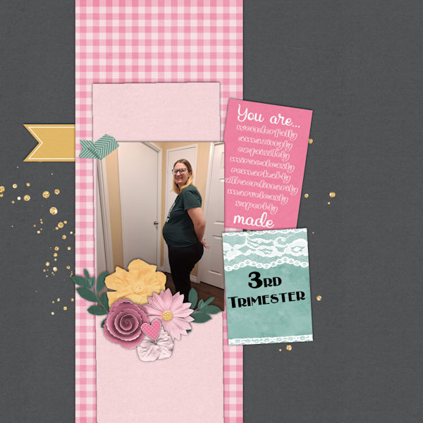 3rd Trimester