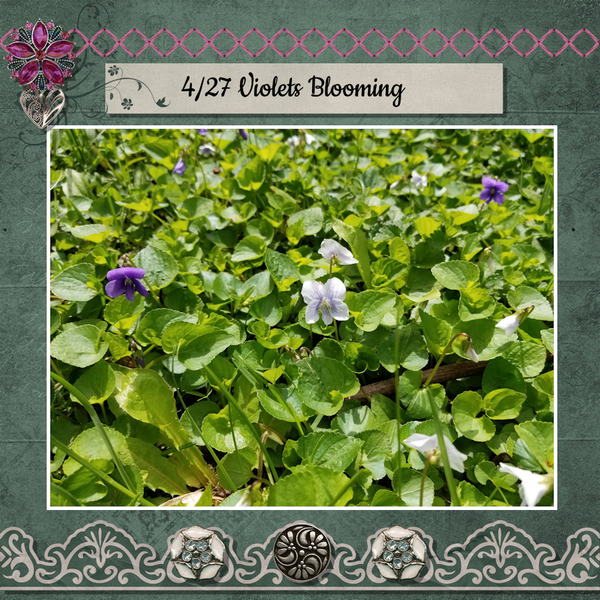 4/2023 Created With Rewards