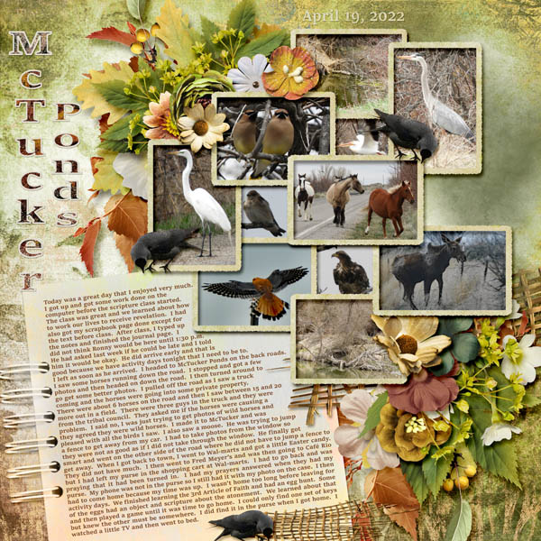 4-April_19_2022_small