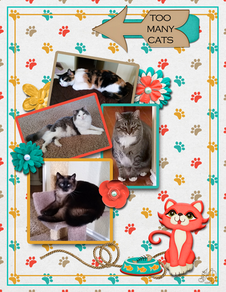 4 cats