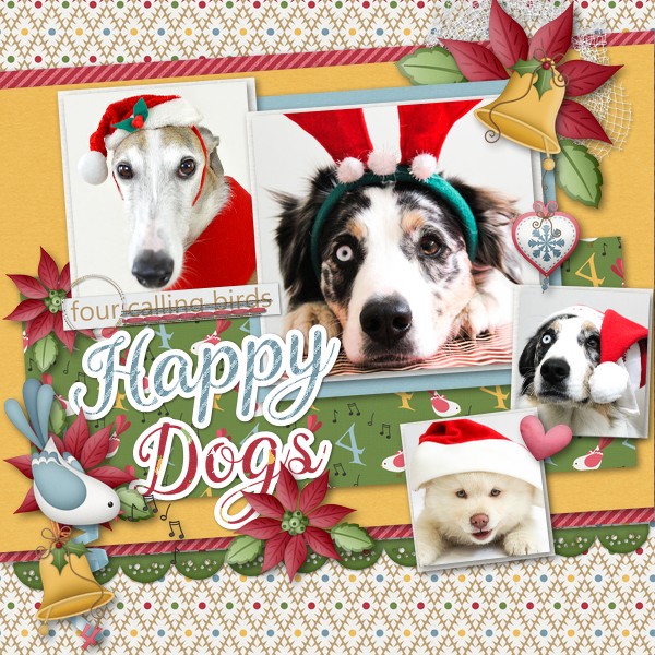 4 Happy Dogs
