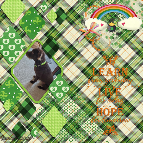 4 Leaf Clover