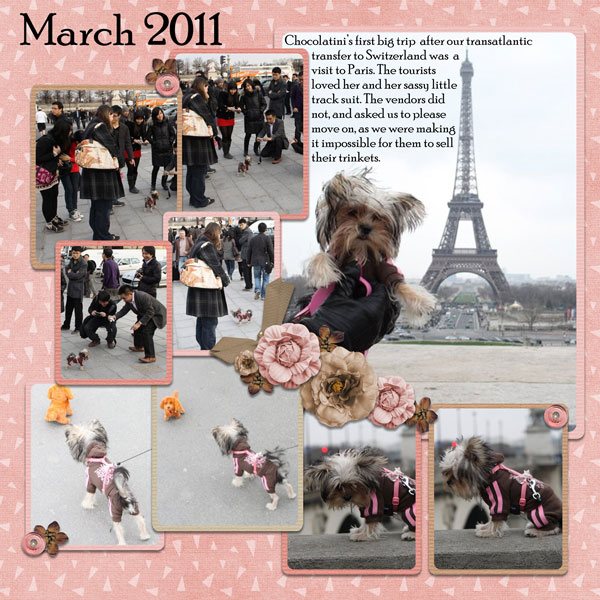 4 Paws 2 Paris I