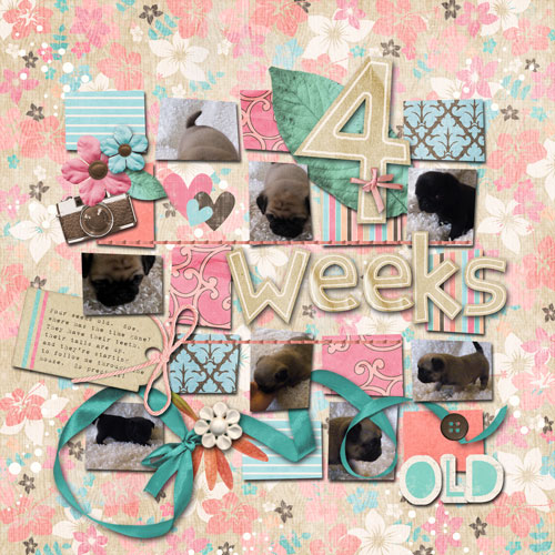 4 weeks old