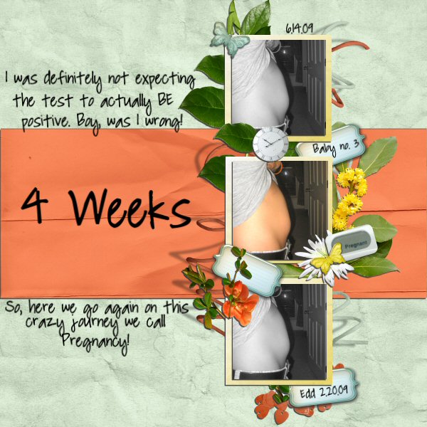 4 Weeks