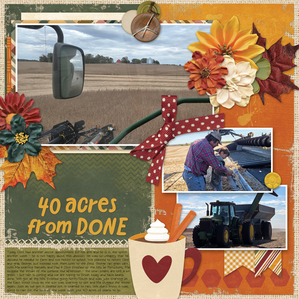 40 Acres From Done
