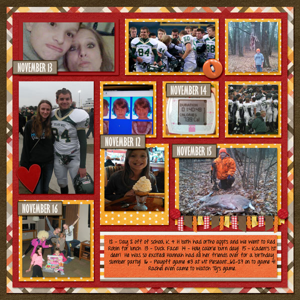 46 of 2013