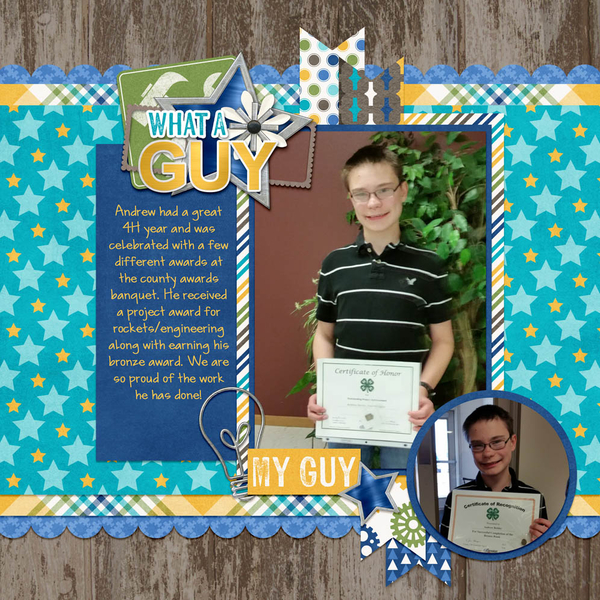 4H Awards