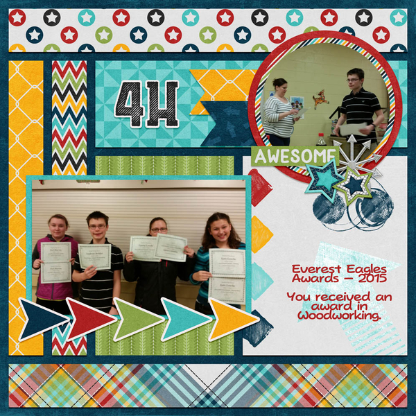 4H Awards
