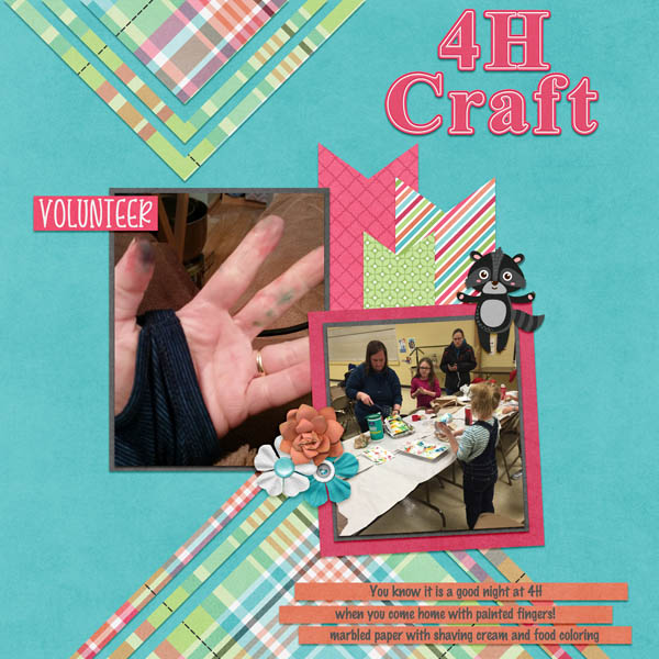 4H Crafts