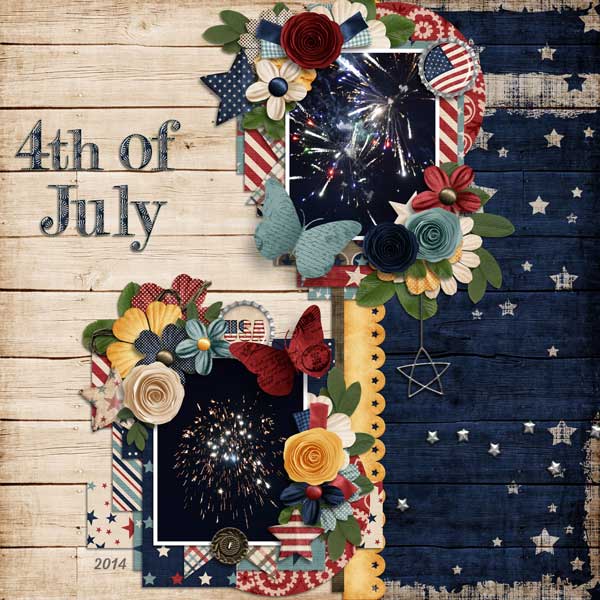 4th of July 2014
