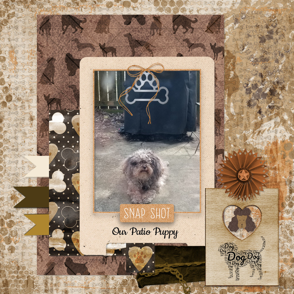 5/2022 iNSD Every Little Thing Template Challenge