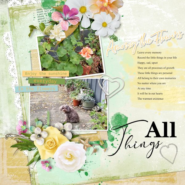 5/2022 iNSD Template Challenge with CarolW