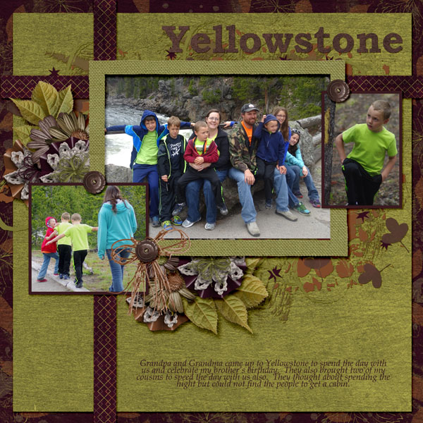 5-Carter_Yellowstone_2015_small
