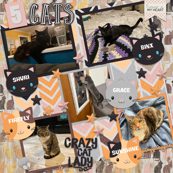 5 Cats