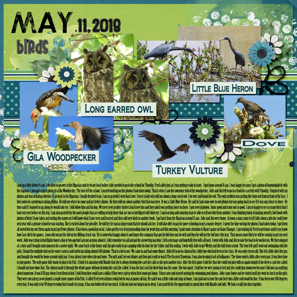 5-May_11_2018_small
