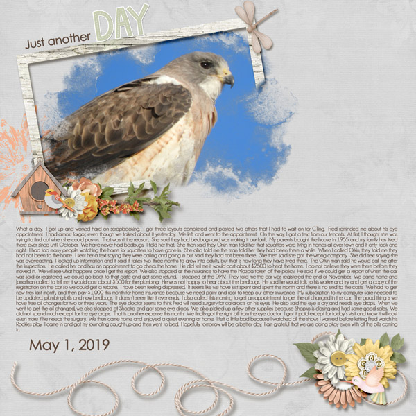 5-May_1_2019_small