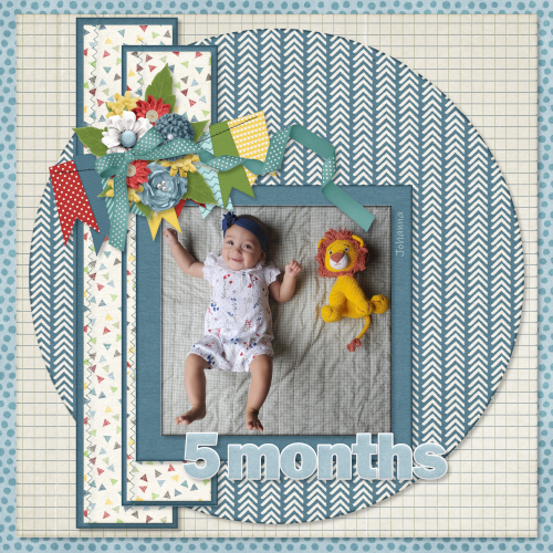 5 Months