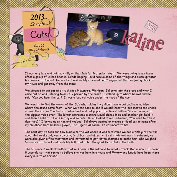 52 topix, Week 22  Cats, page 1