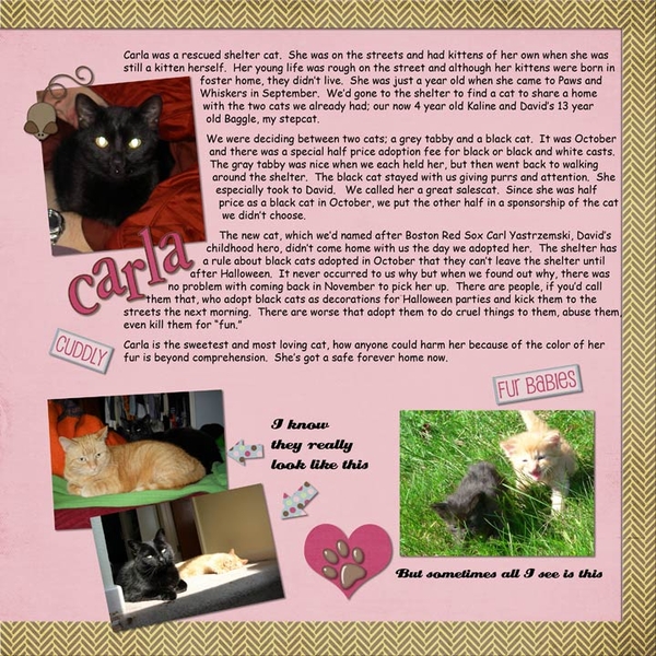 52 topix, Week 22  Cats, page 2