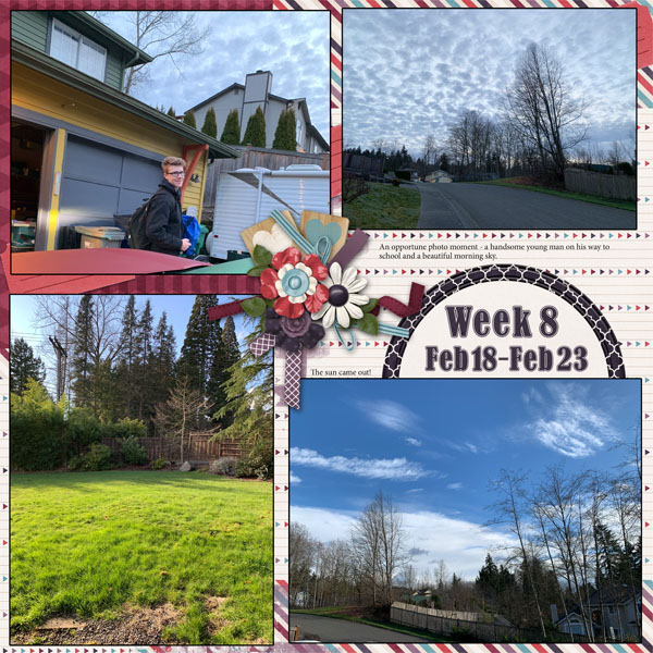 52 Weeks 8