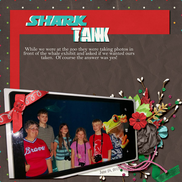 6-Callie_whales_2013