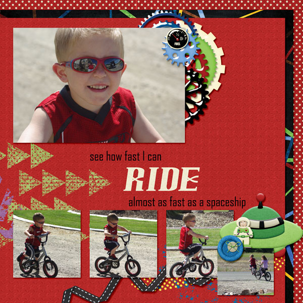 6-Case_bike_2013