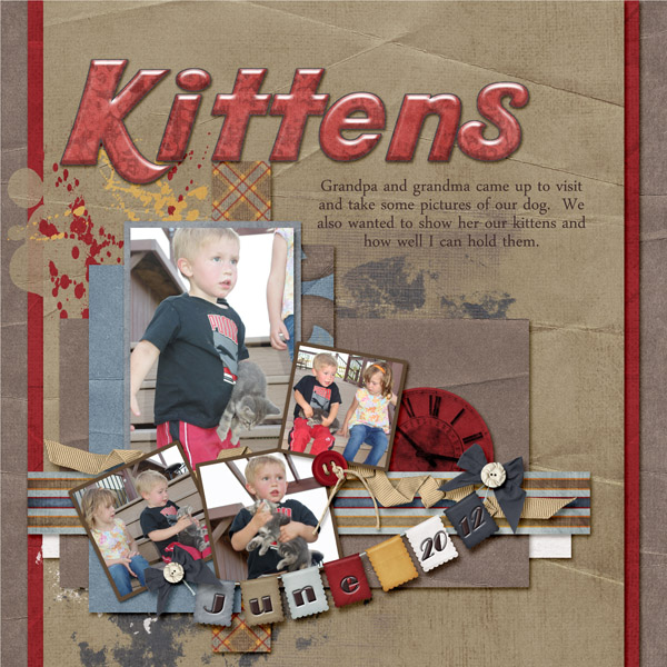 6-Case_Kittens_2012