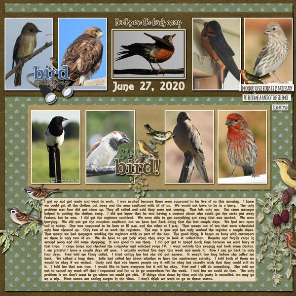 6-June_27_2020_Bird_Watcher