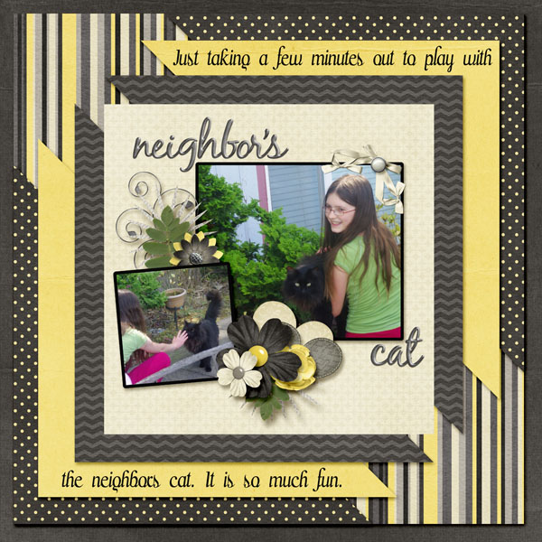 6-Maren_cat_2013_small