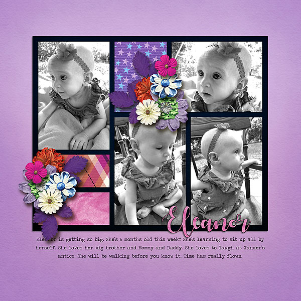 6 Months