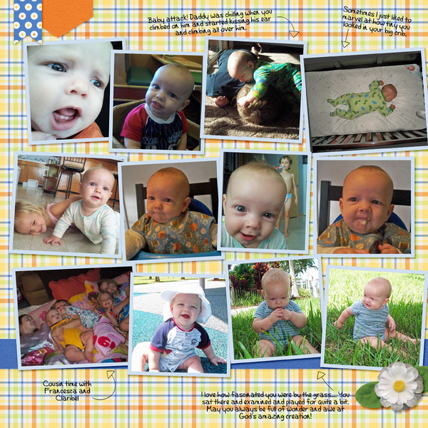 6 Months
