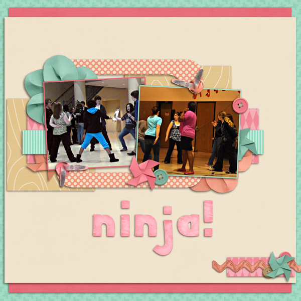 6-ninja