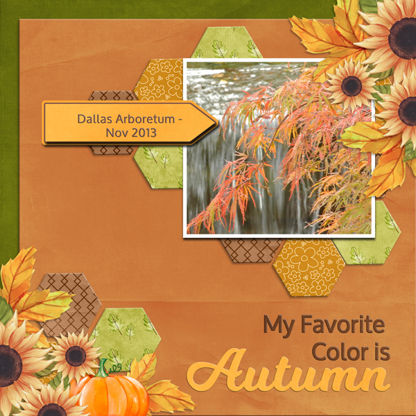 6-scr-autumnonthefarm-honeycomb05T-poki02