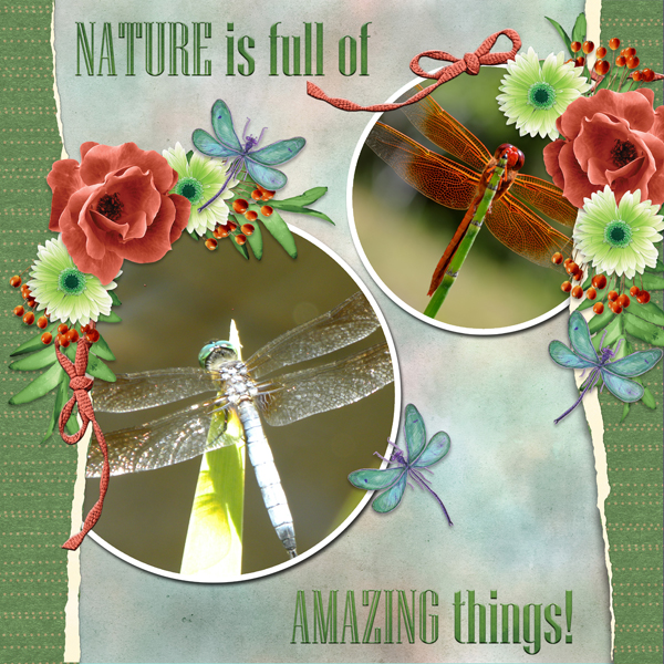 6-scr-earth-day-scr-delightful-dragonfly-04-poki05